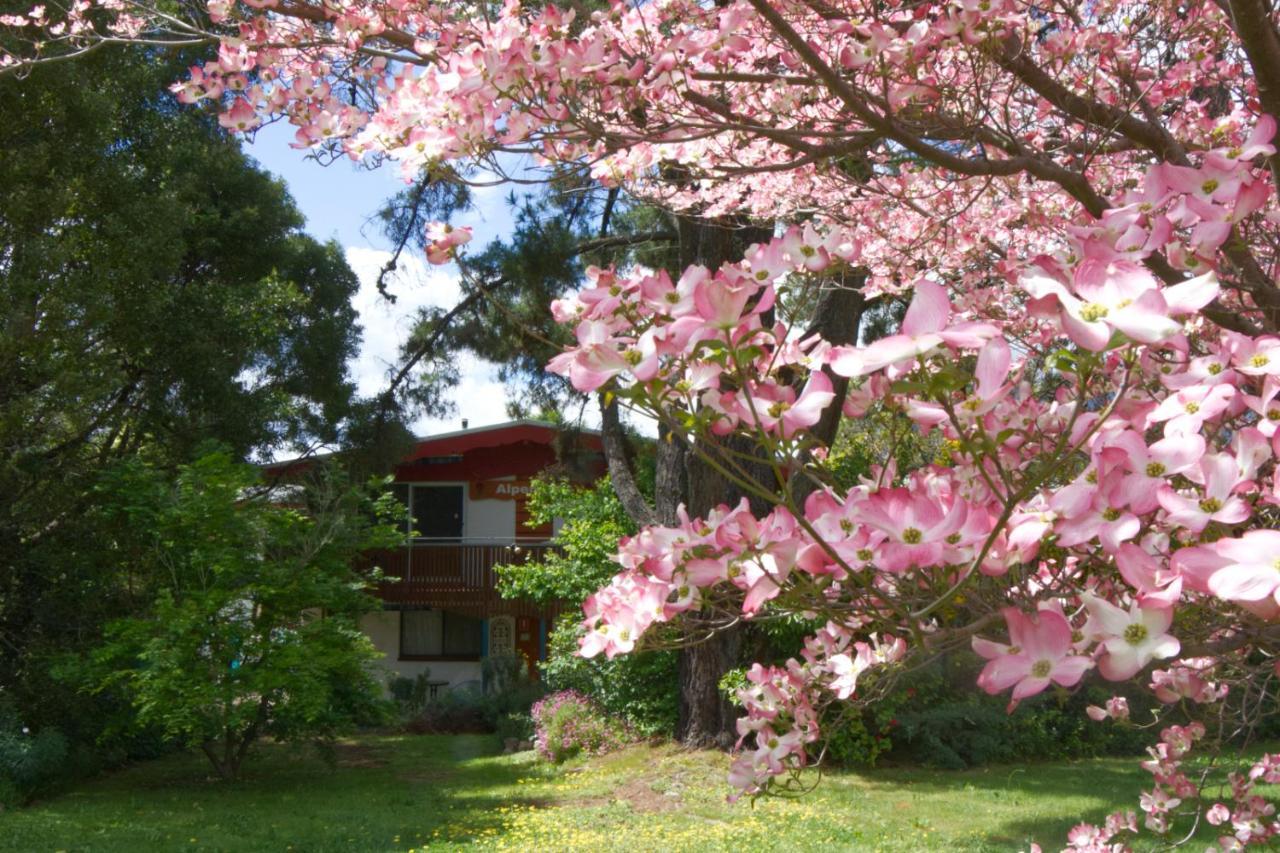 Alpenhorn Holiday Units Маунт Бюти Екстериор снимка